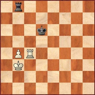 hirneiset-muller-nach-65tc3-c4.jpg