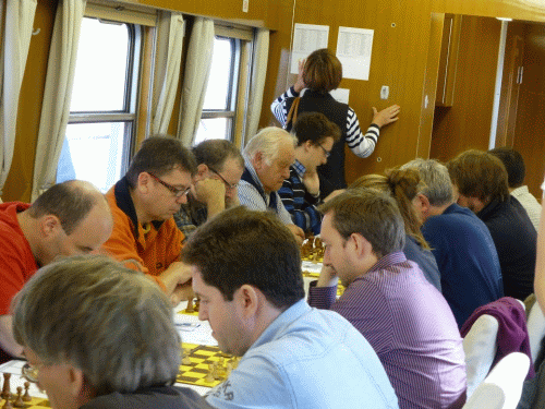Matias im Schachzug
